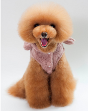 Load image into Gallery viewer, AngfrvX Pet Clothing Polyester Hoodied Sweatshirts Dog Cat Clothes Plus Plush Winter Wearing
